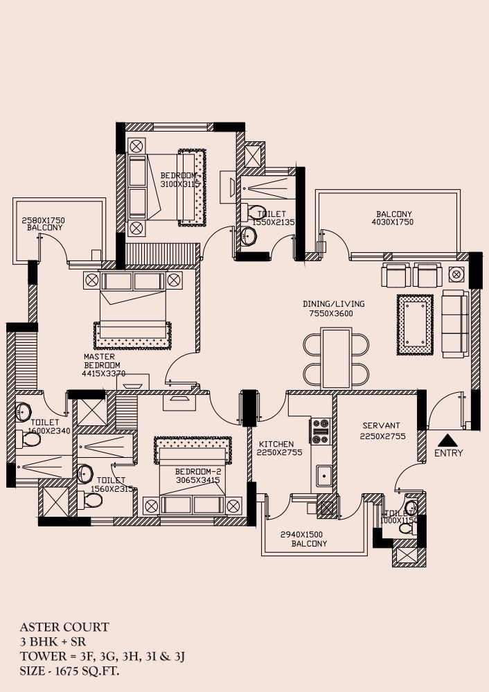 Orris  Aster Court  floor plan