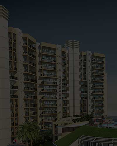 Orris Aster Court Premier